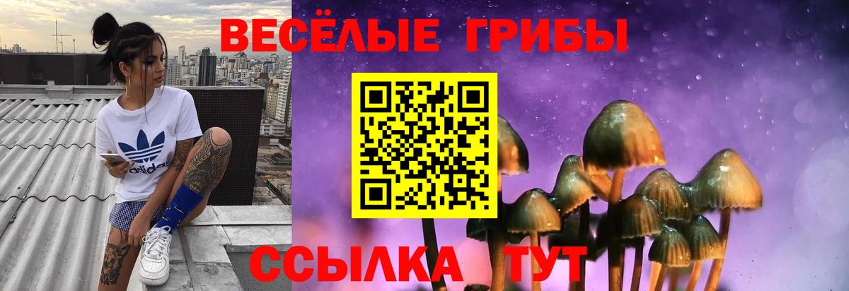 Галлюциногенные грибы MAGIC MUSHROOMS Донецк
